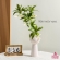 Flor Artificial Decoração RZF015