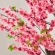 Flor Artificial Decoração RZF023