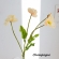 Flor Artificial Decoração RZF012